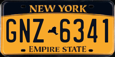 NY license plate GNZ6341
