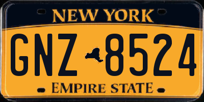 NY license plate GNZ8524