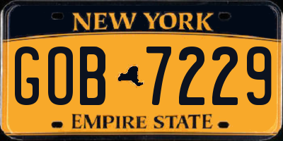 NY license plate GOB7229