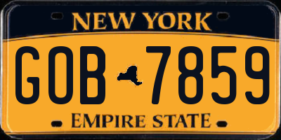 NY license plate GOB7859
