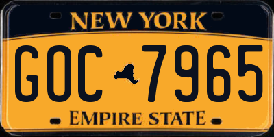 NY license plate GOC7965