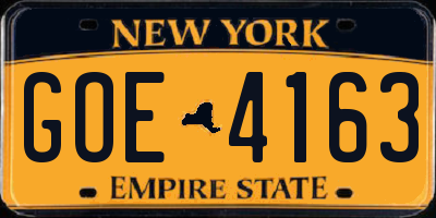 NY license plate GOE4163
