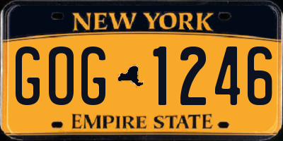 NY license plate GOG1246