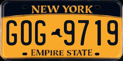NY license plate GOG9719