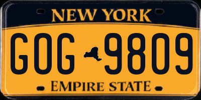 NY license plate GOG9809