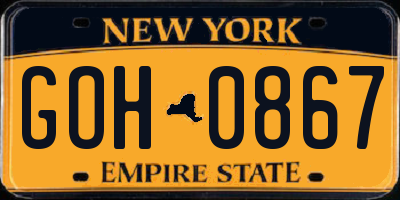 NY license plate GOH0867
