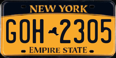 NY license plate GOH2305