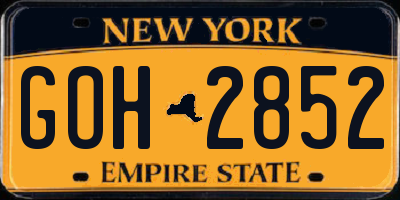 NY license plate GOH2852