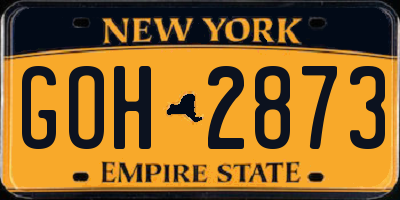 NY license plate GOH2873