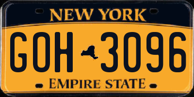NY license plate GOH3096
