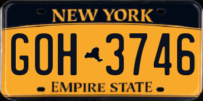 NY license plate GOH3746