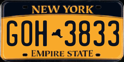 NY license plate GOH3833