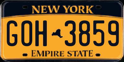 NY license plate GOH3859