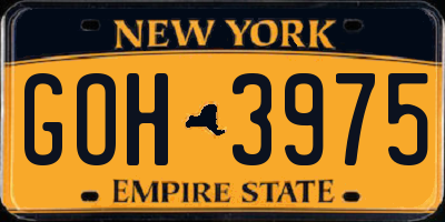 NY license plate GOH3975