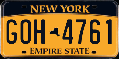 NY license plate GOH4761
