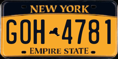 NY license plate GOH4781