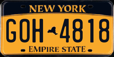 NY license plate GOH4818