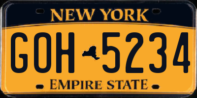 NY license plate GOH5234
