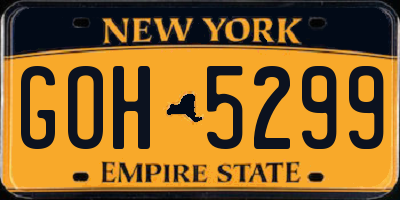 NY license plate GOH5299