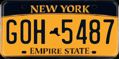 NY license plate GOH5487