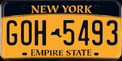 NY license plate GOH5493