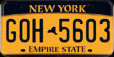 NY license plate GOH5603