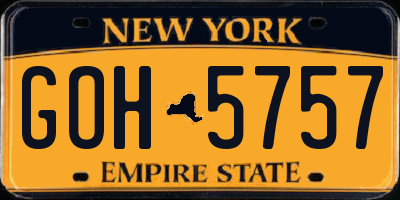NY license plate GOH5757