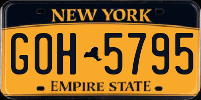 NY license plate GOH5795