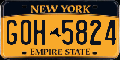 NY license plate GOH5824
