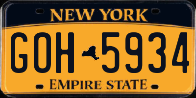 NY license plate GOH5934