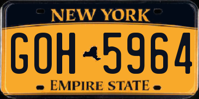 NY license plate GOH5964