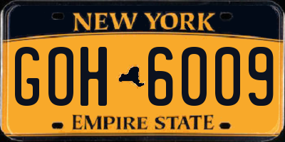 NY license plate GOH6009