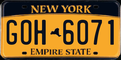 NY license plate GOH6071