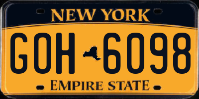 NY license plate GOH6098