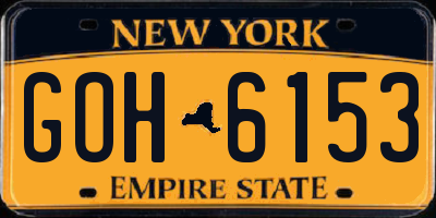NY license plate GOH6153
