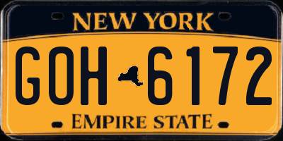 NY license plate GOH6172