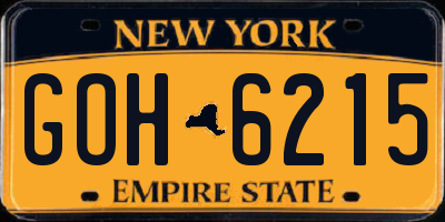 NY license plate GOH6215