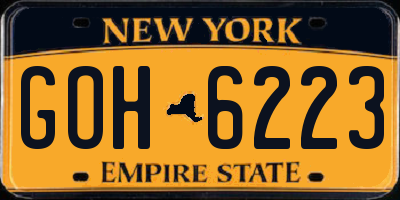 NY license plate GOH6223