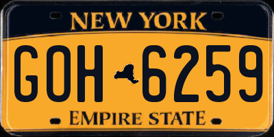 NY license plate GOH6259