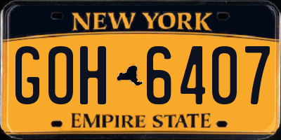 NY license plate GOH6407