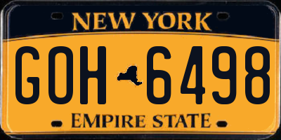 NY license plate GOH6498