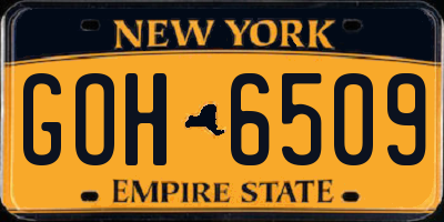 NY license plate GOH6509