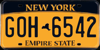 NY license plate GOH6542