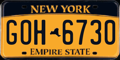 NY license plate GOH6730