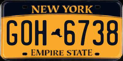 NY license plate GOH6738