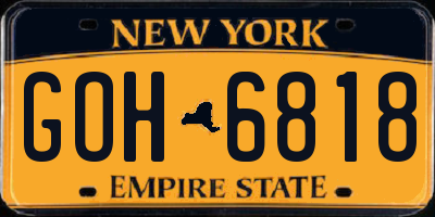 NY license plate GOH6818