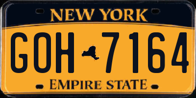 NY license plate GOH7164