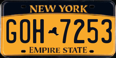 NY license plate GOH7253