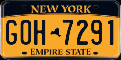NY license plate GOH7291
