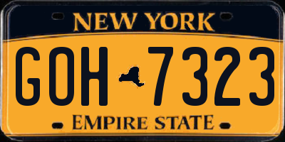 NY license plate GOH7323